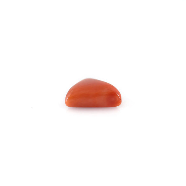 Red Coral - 6.65 Carat