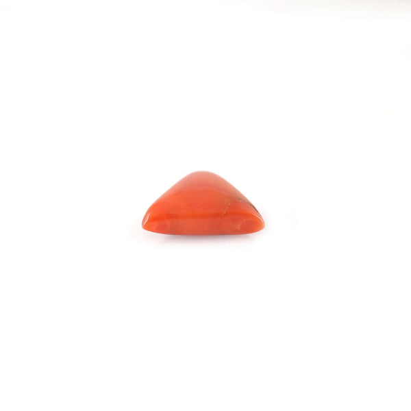 Red Coral - 6.63 Carat