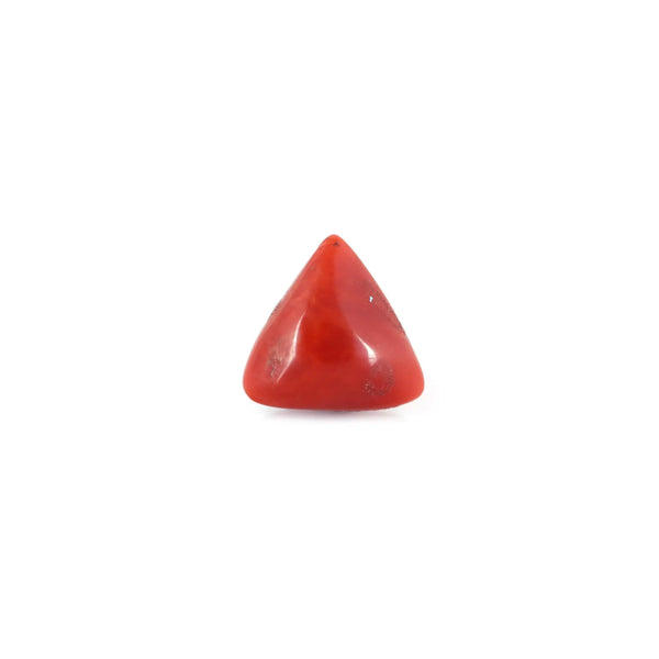 Red Coral - 6.3 Carat