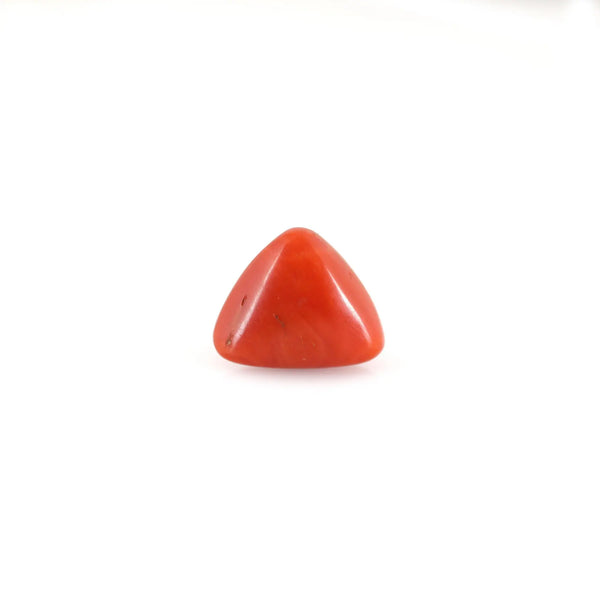 Red Coral - 6.65 Carat - Pramogh