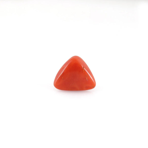 Red Coral - 6.65 Carat - Pramogh