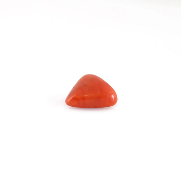 Red Coral - 6.65 Carat - Pramogh