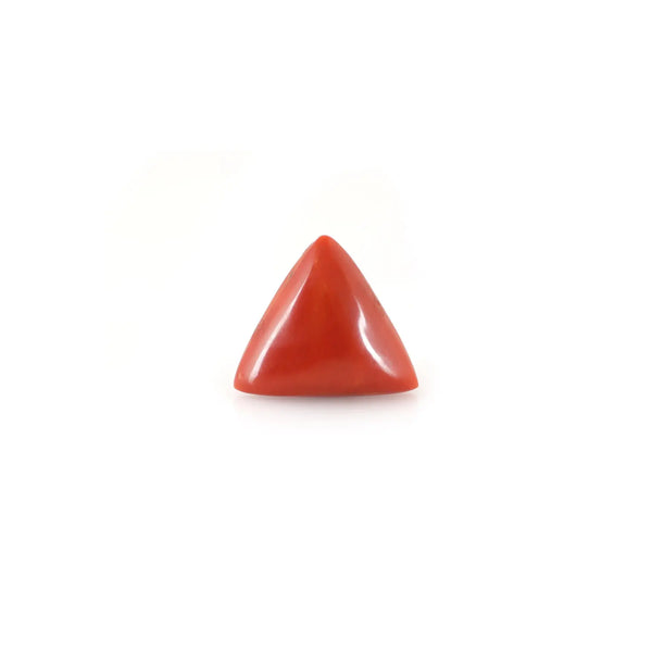 Red Coral - 16.75 Carat