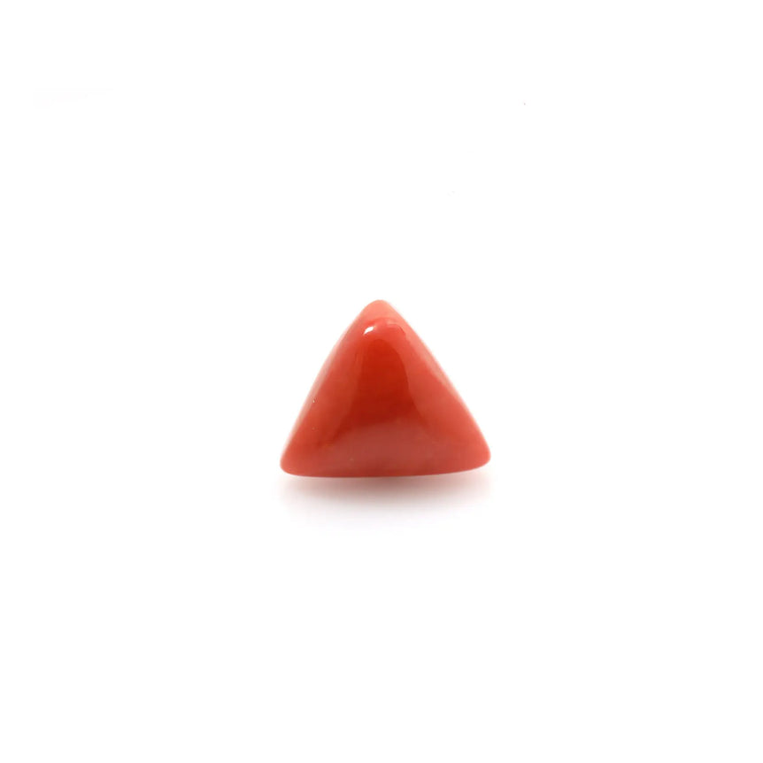 Red Coral - 14.6 Carat - Pramogh
