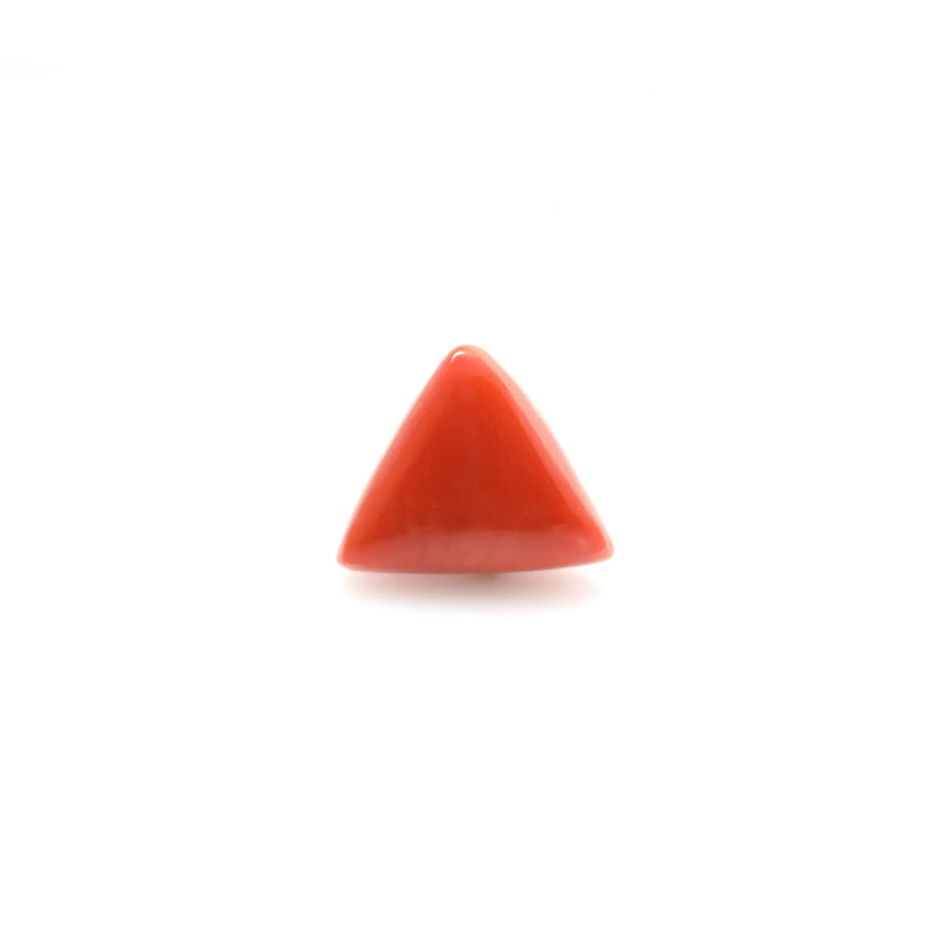 Red Coral - 14.6 Carat - Pramogh