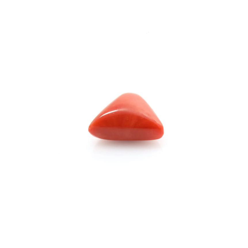 Red Coral - 14.6 Carat - Pramogh