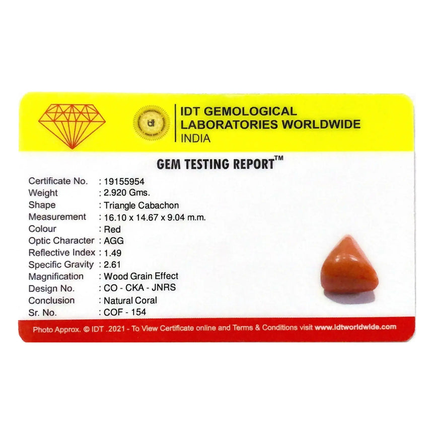 Red Coral - 14.6 Carat - Pramogh