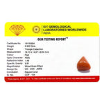 Red Coral - 14.6 Carat - Pramogh