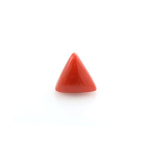 Red Coral - 12.35 Carat - Pramogh
