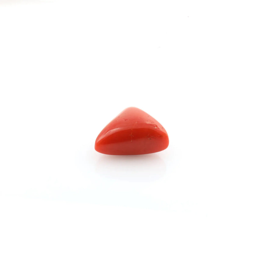 Red Coral - 12.35 Carat - Pramogh