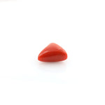 Red Coral - 12.35 Carat - Pramogh