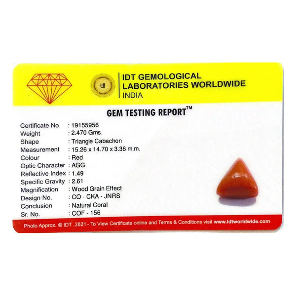 Red Coral - 12.35 Carat - Pramogh