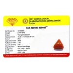 Red Coral - 12.35 Carat - Pramogh