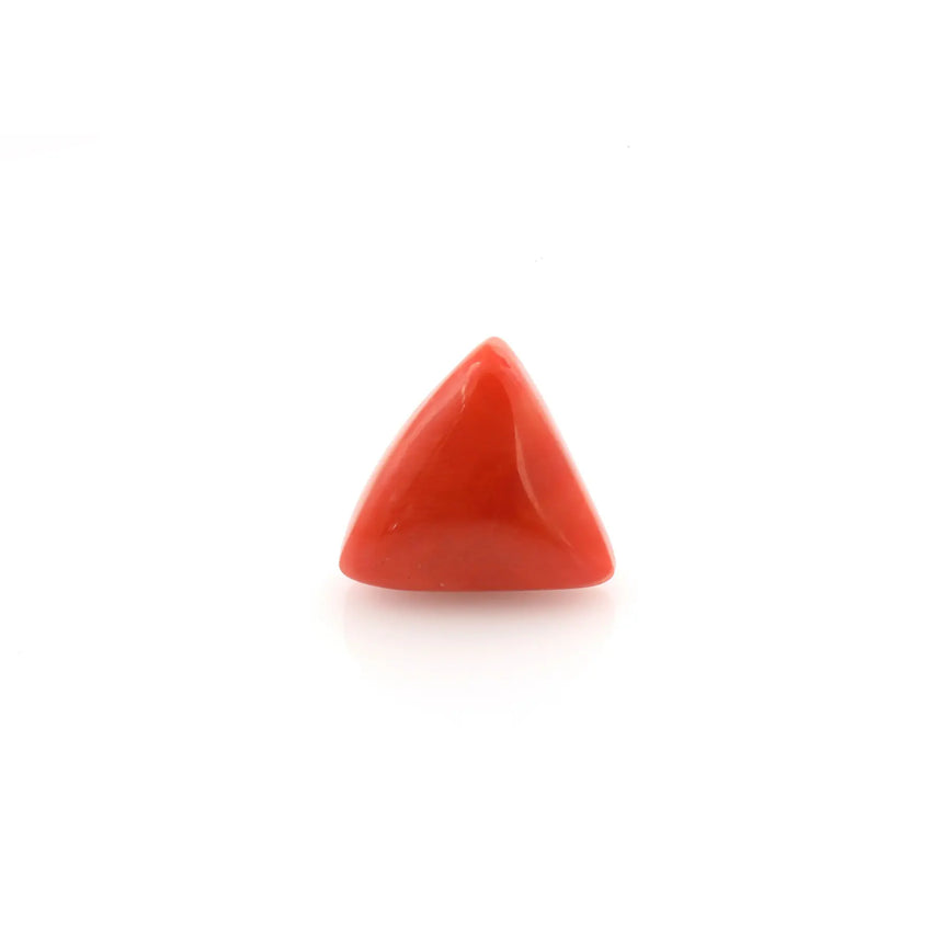 Red Coral - 20.05 Carat - Pramogh
