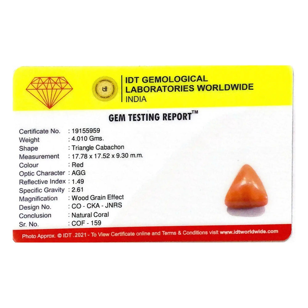 Red Coral - 20.05 Carat - Pramogh