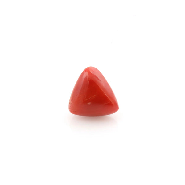 Red Coral - 13.6 Carat