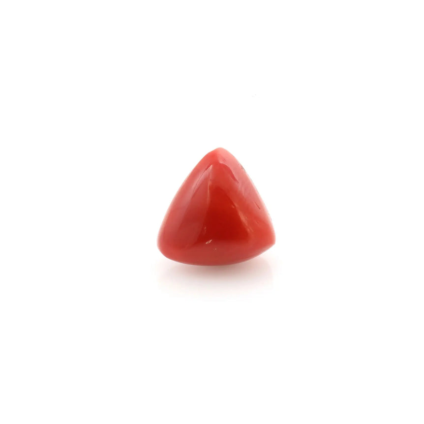 Red Coral - 13.6 Carat - Pramogh