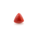 Red Coral - 13.6 Carat - Pramogh