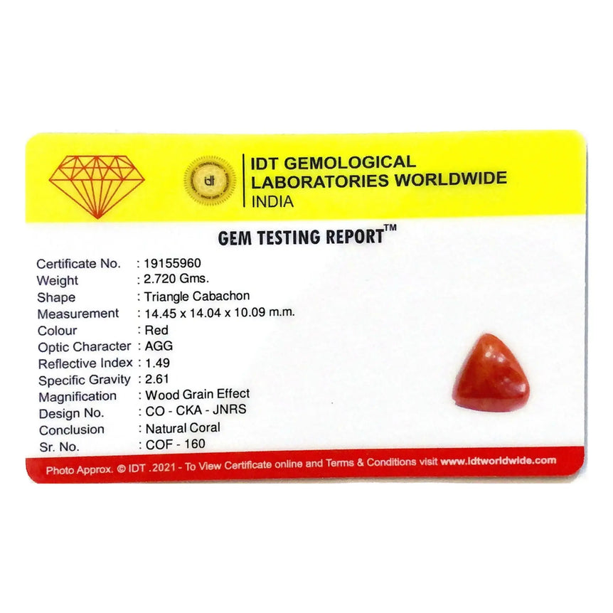 Red Coral - 13.6 Carat - Pramogh