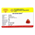 Red Coral - 13.6 Carat - Pramogh