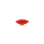 Japanese Red Coral - 3.6 Carat - Pramogh