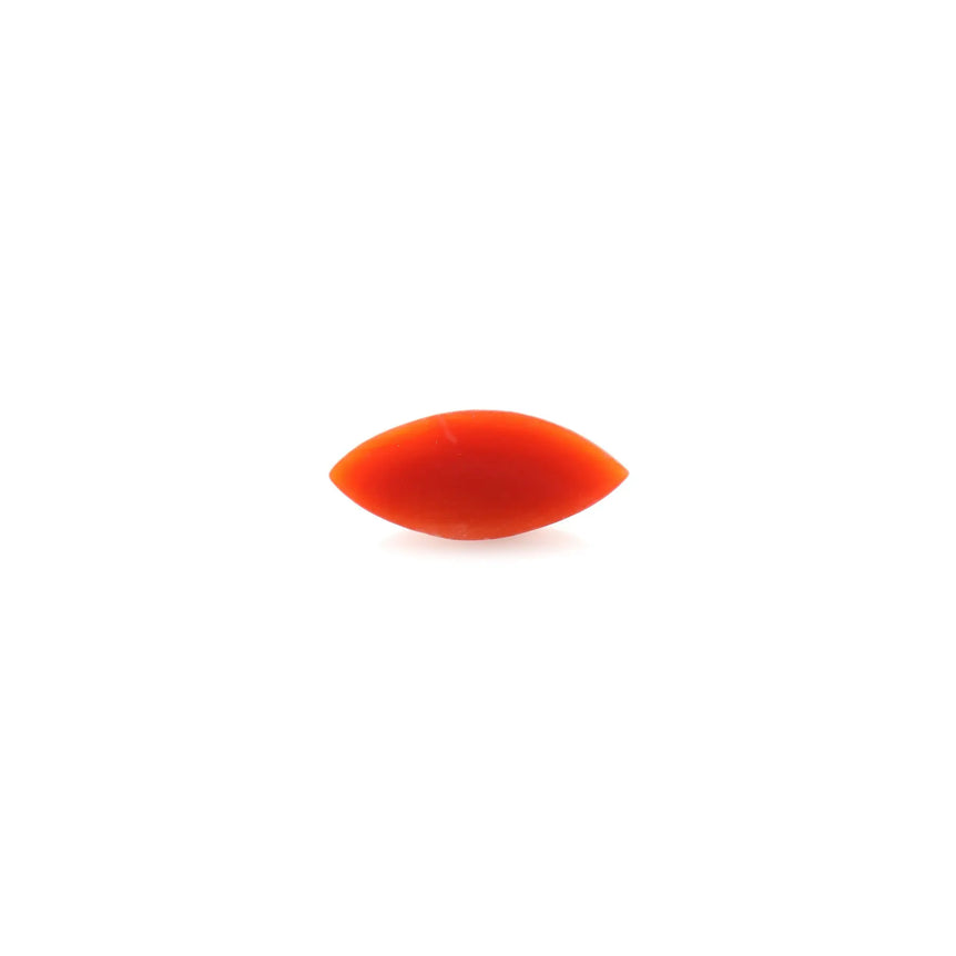 Japanese Red Coral - 3.6 Carat - Pramogh
