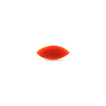 Japanese Red Coral - 3.6 Carat - Pramogh