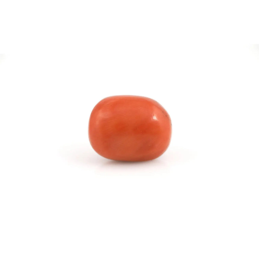 Red Coral - 23 Carat - Pramogh