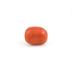 Red Coral - 23 Carat - Pramogh
