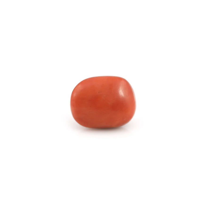 Red Coral - 23 Carat - Pramogh