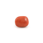 Red Coral - 23 Carat - Pramogh