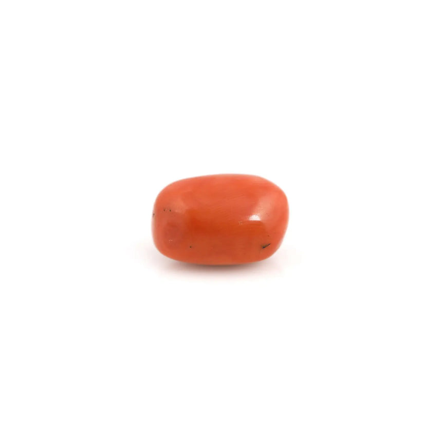 Red Coral - 23 Carat - Pramogh