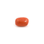 Red Coral - 23 Carat - Pramogh
