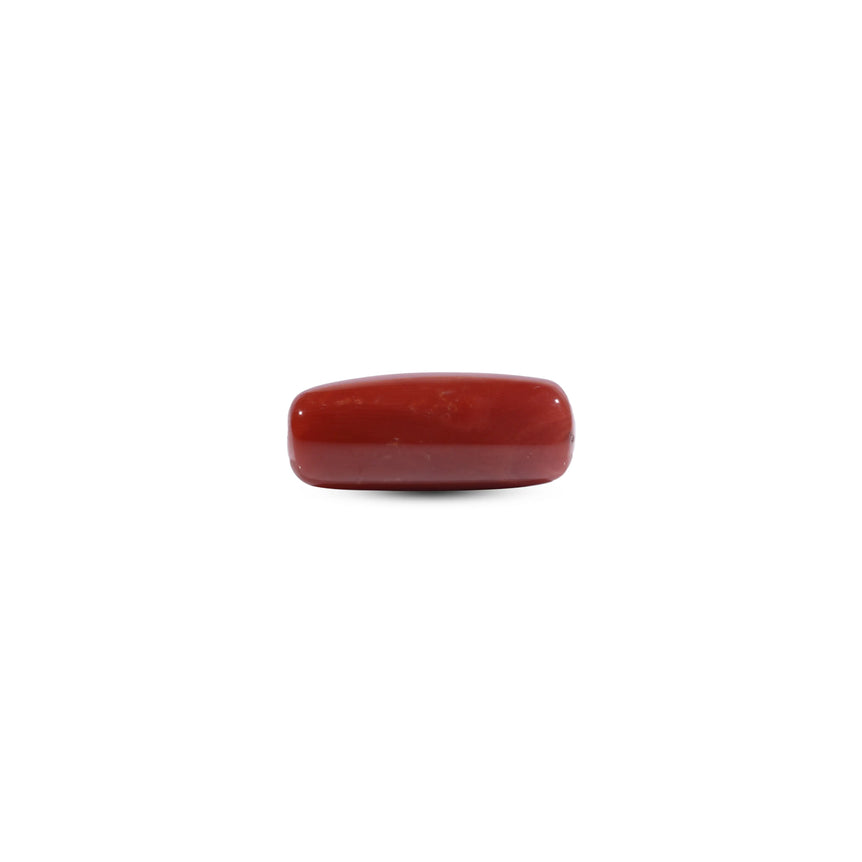 Red Coral - 9.9 Carat