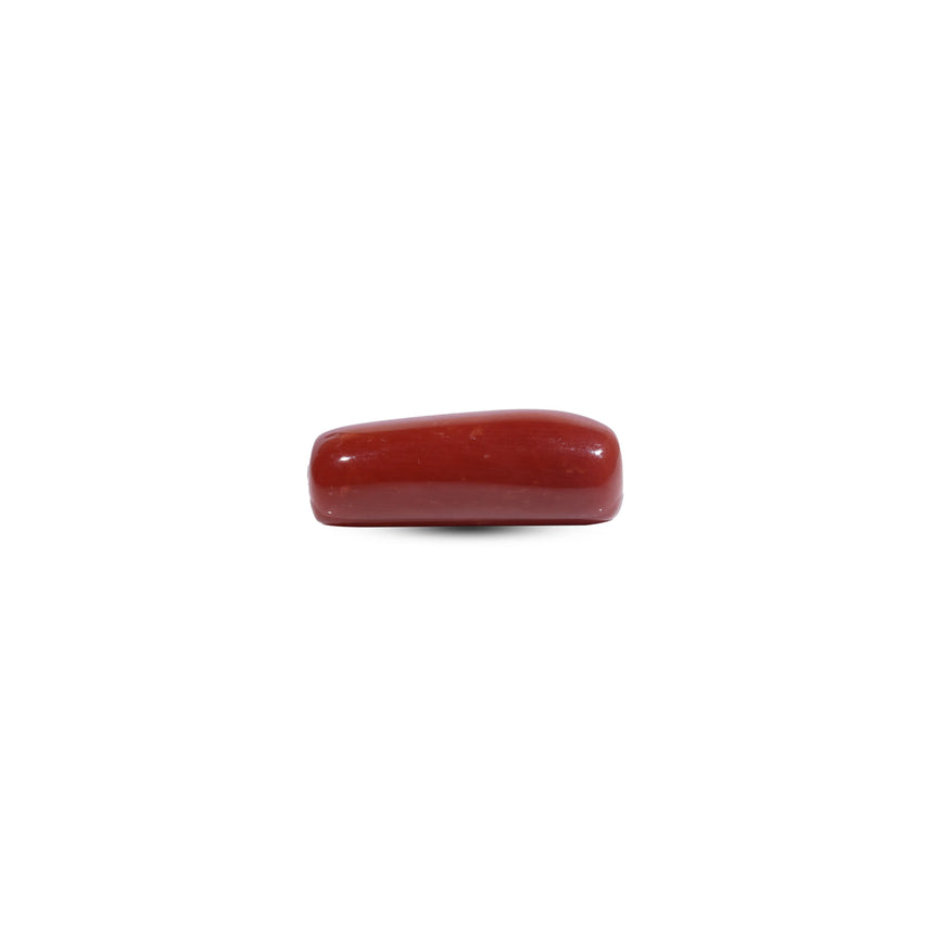 Red Coral - 9.9 Carat