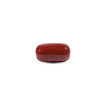  Red Coral - 10.9 Carat - Pramogh