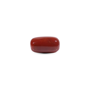  Red Coral - 10.9 Carat - Pramogh