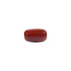 Red Coral - 10.9 Carat - Pramogh