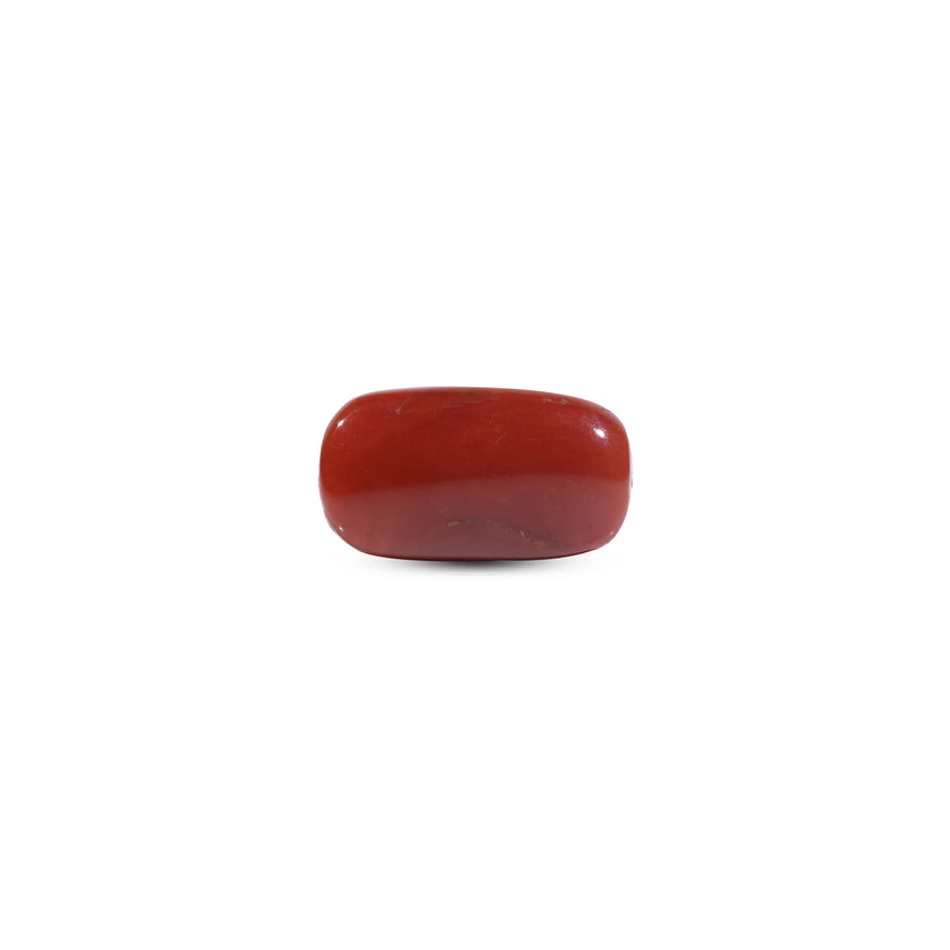 Red Coral - 10.9 Carat