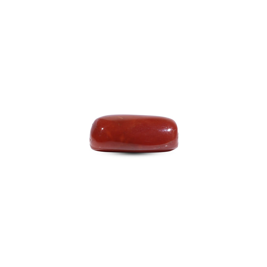 Red Coral - 10.9 Carat