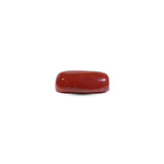 Red Coral - 10.9 Carat