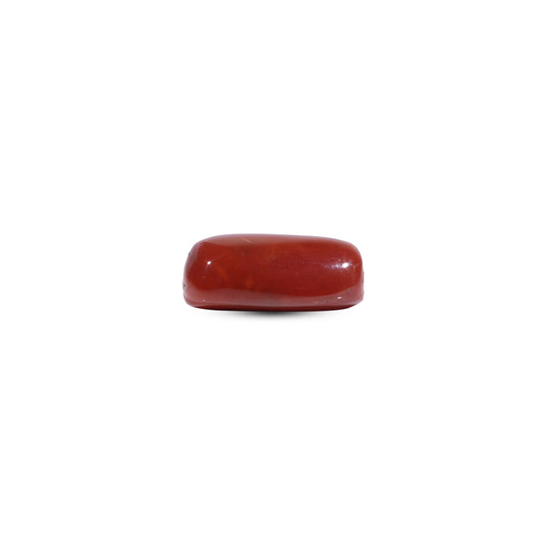 Red Coral - 10.9 Carat