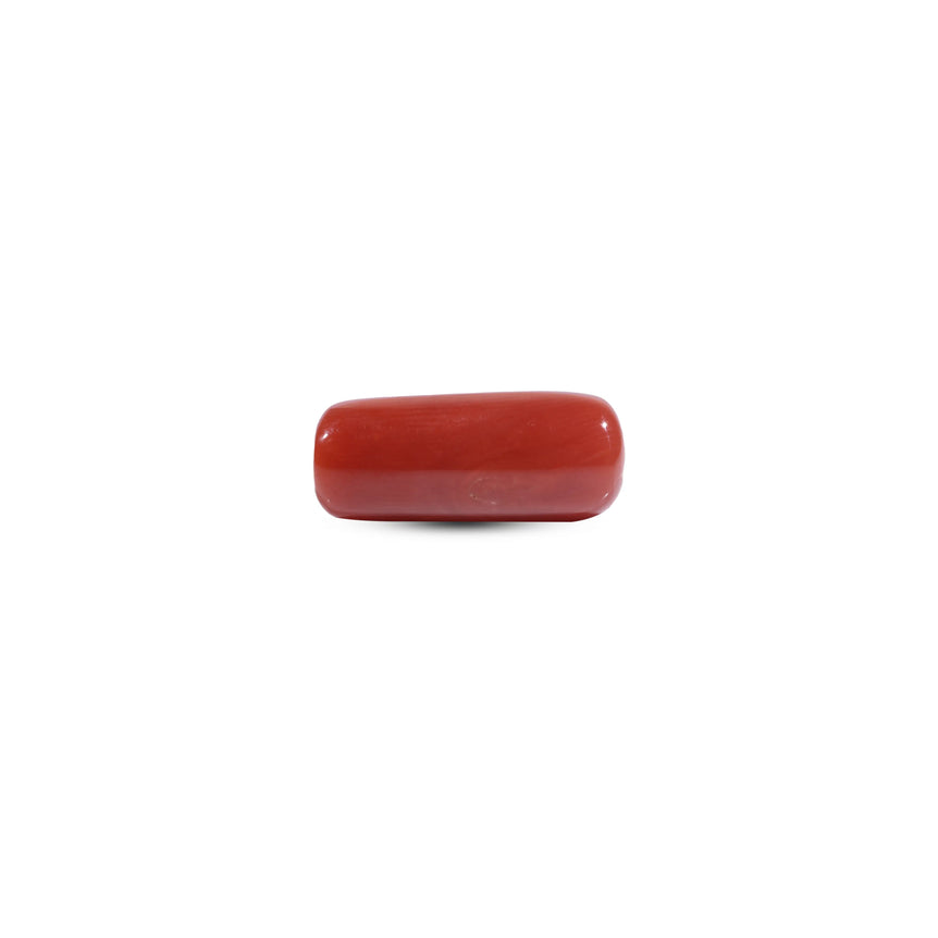 Red Coral - 8 Carat