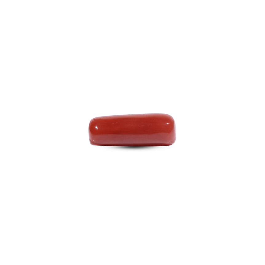 Red Coral - 8 Carat