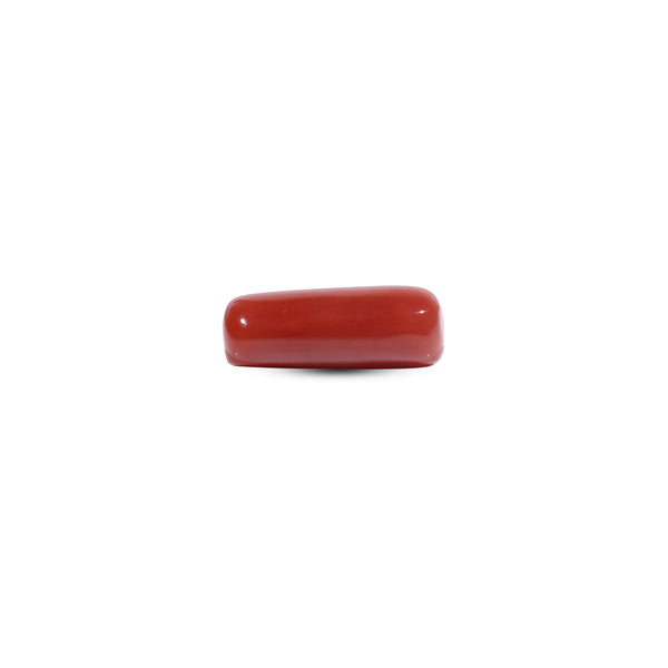 Red Coral - 8 Carat