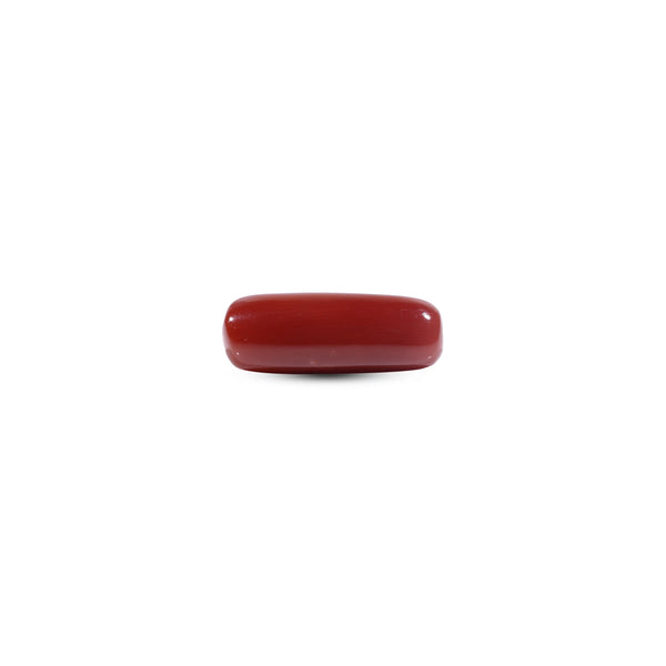  Red Coral - 9 Carat - Pramogh