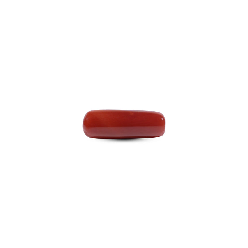 Red Coral - 9 Carat