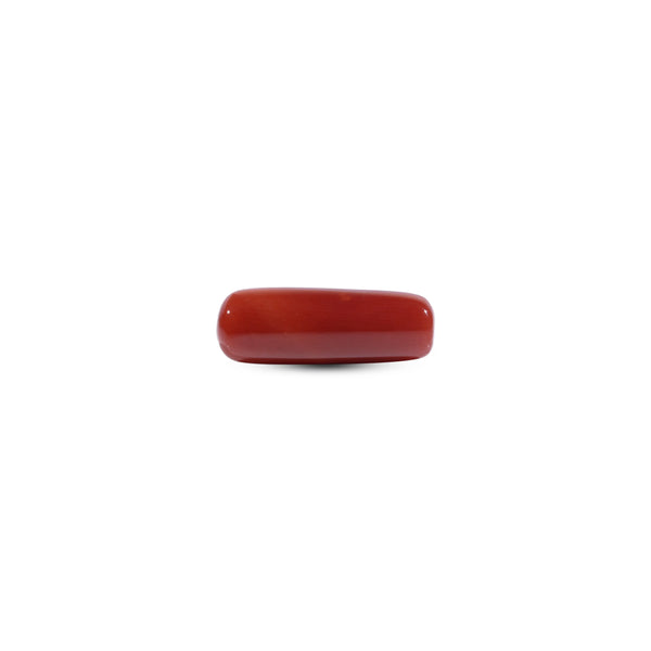 Red Coral - 9 Carat