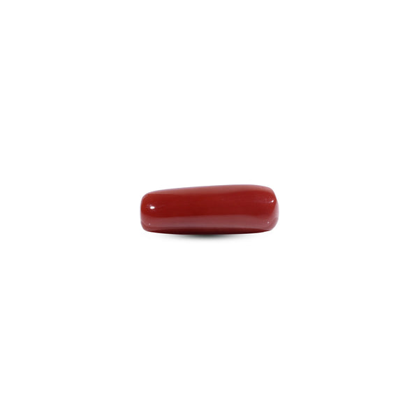 Red Coral - 9 Carat