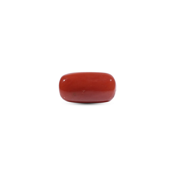  Red Coral - 10.8 Carat - Pramogh